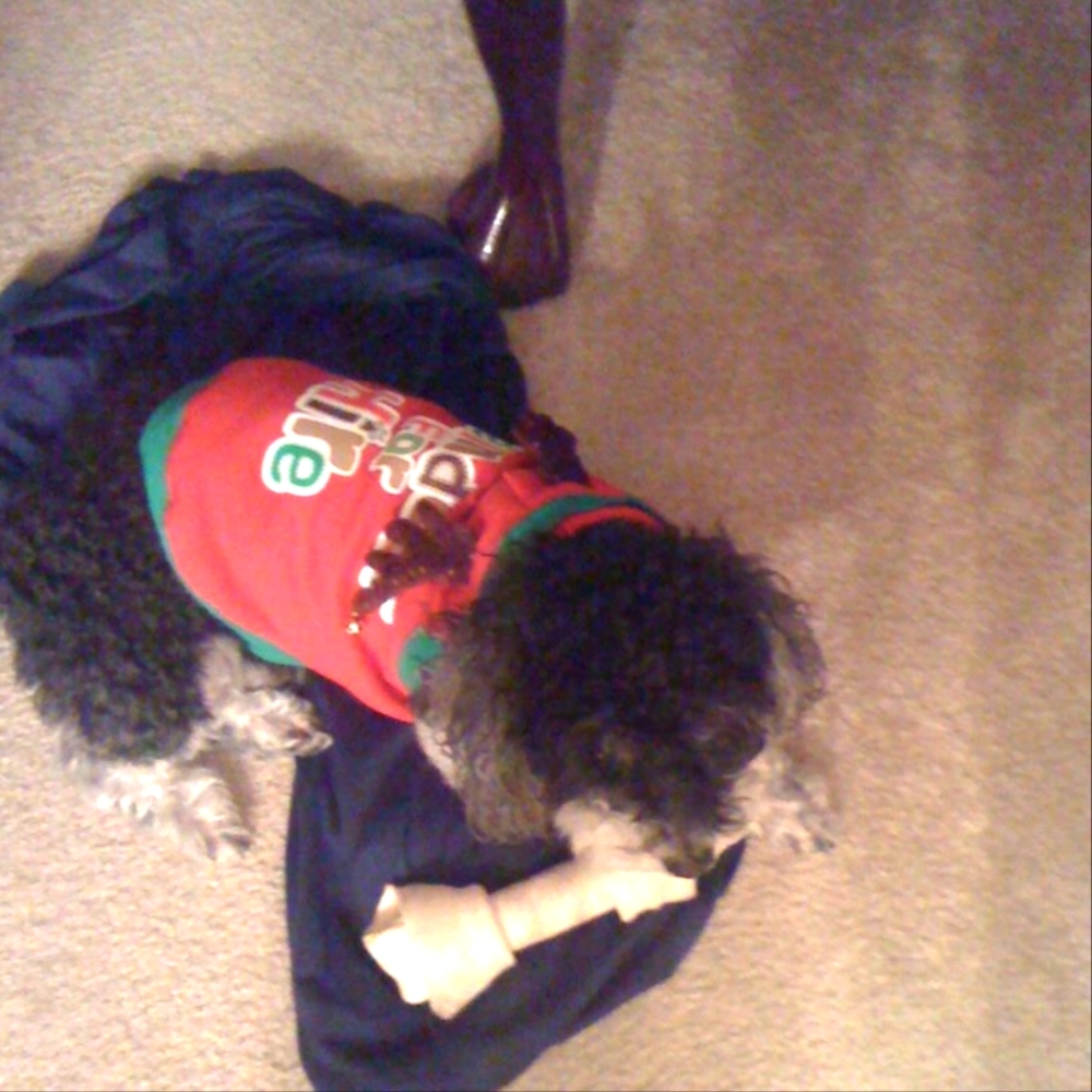 Simply Dog Christmas Tee
